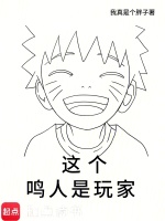 小说《这个鸣人是玩家》封面