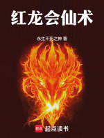 小说《红龙会仙术》封面