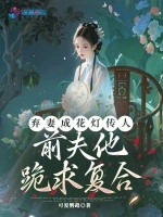 小说《弃妻成花灯传人，前夫他跪求复合》封面