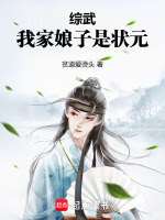 小说《综武：我家娘子是状元》封面