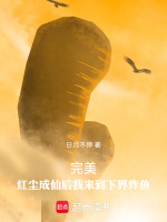小说《完美：红尘成仙后我来到下界炸鱼》封面