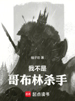 小说《我不是哥布林杀手》封面