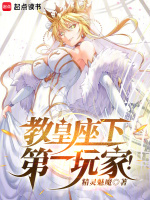 小说《教皇座下第一玩家！》封面
