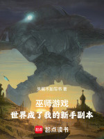 小说《巫师游戏：世界成了我的新手副本》封面