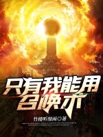 小说《只有我能用召唤术》封面