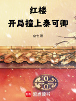 小说《红楼：开局撞上秦可卿》封面