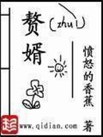 小说《赘婿》封面