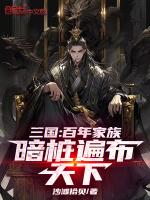 小说《三国：百年家族，暗桩遍布天下！》封面