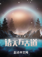 小说《诸天万古道》封面