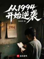 小说《从1994开始逆袭》封面