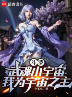 小说《斗罗：武魂小宇宙，我为宇宙之主》封面