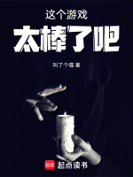 小说《这个游戏太棒了吧！》封面