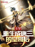小说《斗罗：重生成唐三的堂哥后》封面