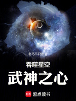 小说《吞噬星空：武神之心》封面