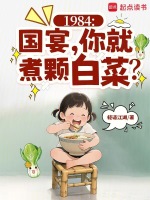 小说《1984：从破产川菜馆开始》封面