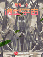 小说《我有一个微型宇宙》封面