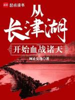 小说《长津湖：从新兴里打到汉城》封面