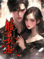 小说《暗夜荆棘》封面