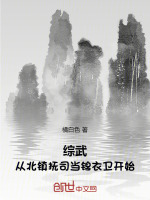 小说《综武：从北镇抚司当锦衣卫开始！》封面