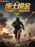小说《废土摸金，我加载了三角洲系统》封面