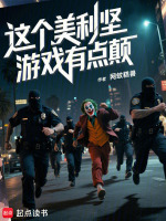小说《这个美利坚游戏有点颠》封面