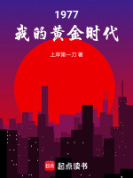 小说《1977，我的黄金时代》封面