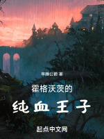 小说《霍格沃茨的纯血王子》封面