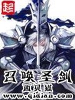 小说《召唤圣剑》封面