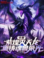 小说《斗罗：紫煌灭天龙，重铸魂兽荣光》封面