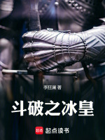 小说《斗破之冰皇》封面