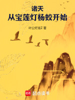 小说《诸天：从宝莲灯杨蛟开始》封面