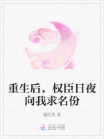 小说《重生后，权臣日夜向我求名份》封面