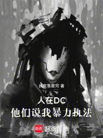 小说《人在DC，他们说我暴力执法》封面