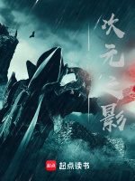 小说《全职法师：次元之影》封面