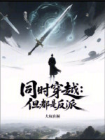 小说《同时穿越：但都是反派》封面