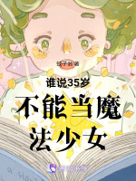 小说《谁说35岁不能当魔法少女》封面