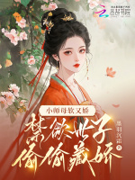小说《小师母软又娇，禁欲世子偷偷藏娇》封面
