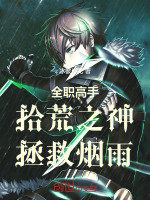 小说《全职高手：拾荒之神，拯救烟雨！》封面