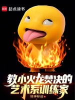 小说《教小火龙焚决的抽象训练家》封面