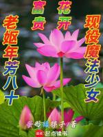 小说《老妪年芳八十，现役魔法少女》封面