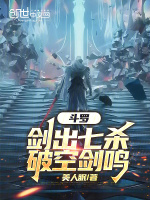 小说《斗罗：剑出七杀，破空剑鸣》封面