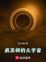 小说《疯巫师的元宇宙》封面