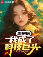 小说《塌房后我成了科技巨头》封面