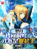小说《型月：我间桐鸢夜才不是亚瑟王》封面