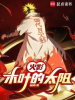 小说《火影：木叶的太阳！》封面