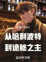 小说《从哈利波特开始的诡秘之旅》封面