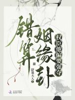 小说《错算姻缘卦，权臣他偏要强夺》封面