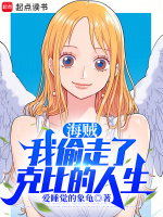 小说《海贼：我偷走了克比的人生》封面