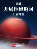 小说《龙珠：开局拒绝返回贝吉塔星》封面