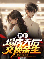 小说《我和塌房天后交换余生》封面
